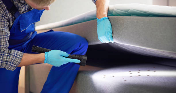 Best Termite Control Services  in Mission, SD