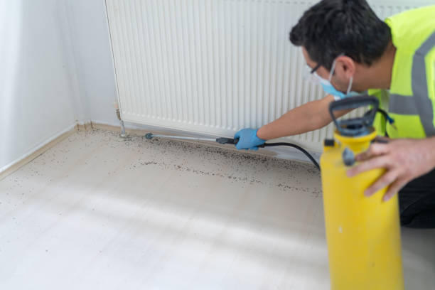 Best Ant Control Services  in Mission, SD