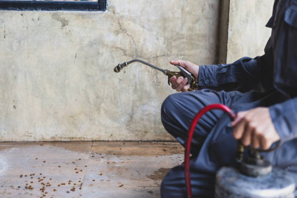 Best Pest Prevention Services  in Mission, SD